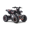 Mini Quadriciclo Avalanche 90