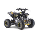 Mini Quadriciclo Avalanche 90
