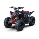Mini Quadriciclo Fun Motors Rhino 110cc 4 tempos