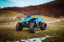 CFMOTO CFORCE 110 LV