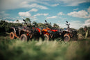 Fun Motors farmer 300cc 4x2