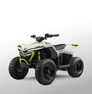 CFMOTO CFORCE EV 110