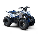 Mini Quadriciclo Fun Motors Rhino 110cc 4 tempos